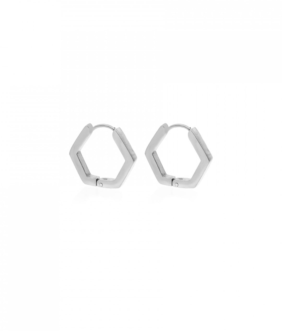 Polygonal earrings