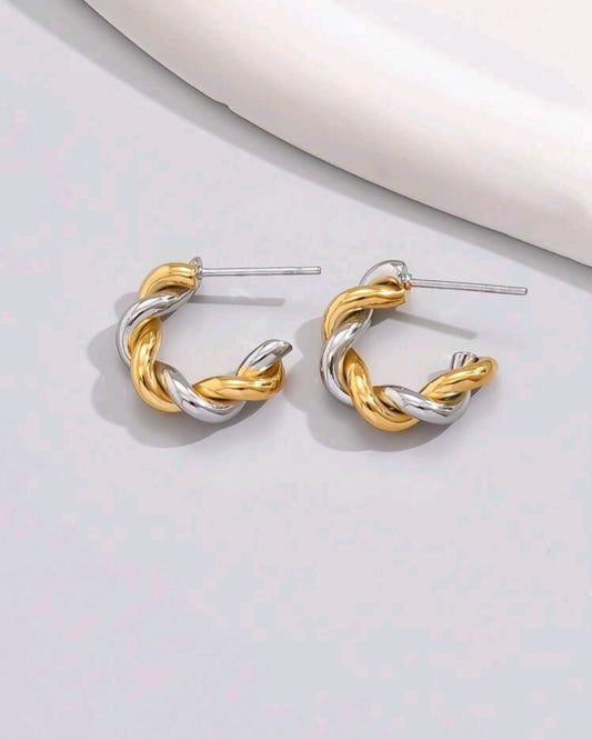 Gold/silver earrings